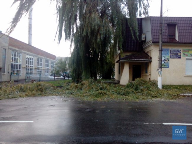 Через буревій у Нововолинську знеструмлені вулиці та повалені дерева
