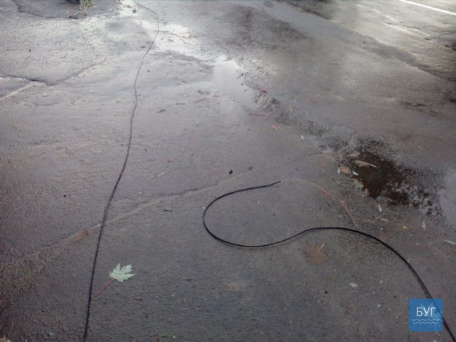 Через буревій у Нововолинську знеструмлені вулиці та повалені дерева