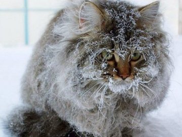 В Україну повернуться морози до -15°