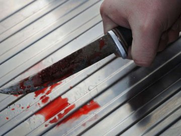 Вбивство у волинському селі: прокурори вимагають суворішого покарання для злочинця