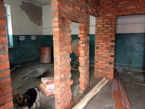 У Ковелі роблять капремонт притулку для тварин