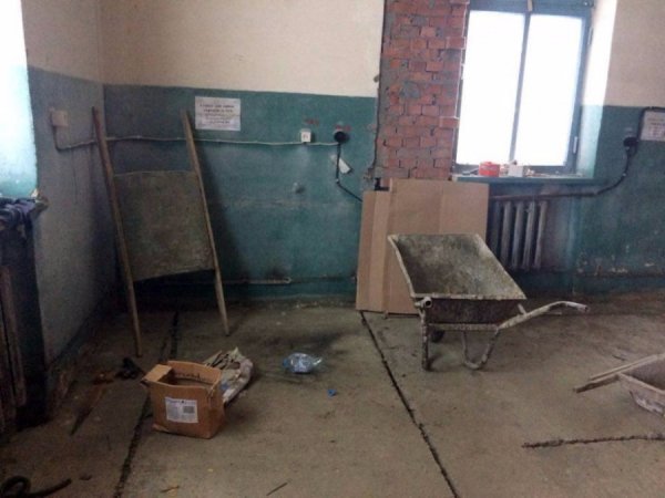 У Ковелі роблять капремонт притулку для тварин