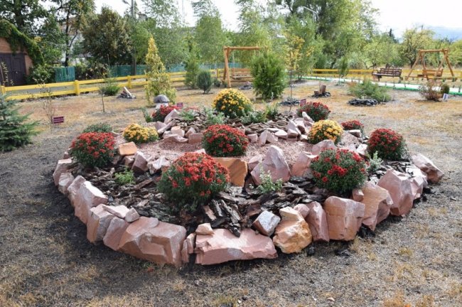 На Волині лісівники спільно з громадою облаштували дендропарк. ФОТО