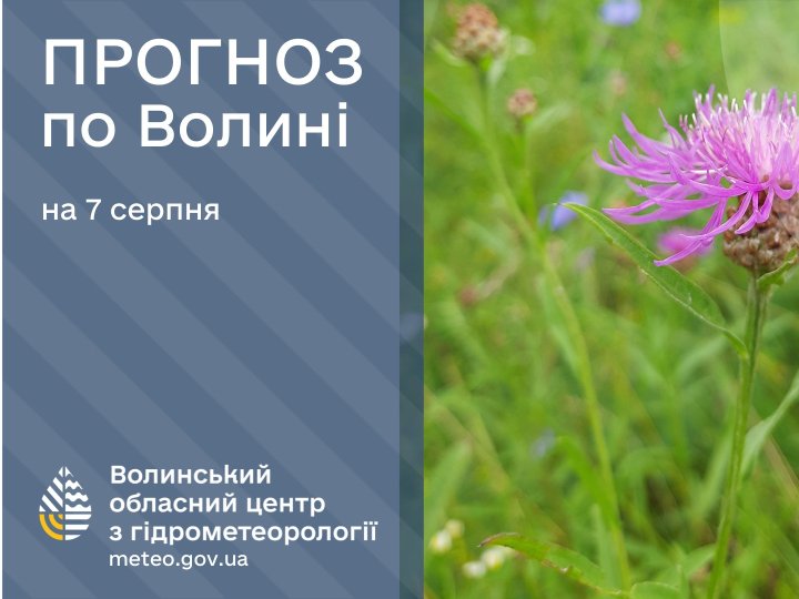 Якою буде погода у Луцьку та на Волині у четвер, 7 серпня