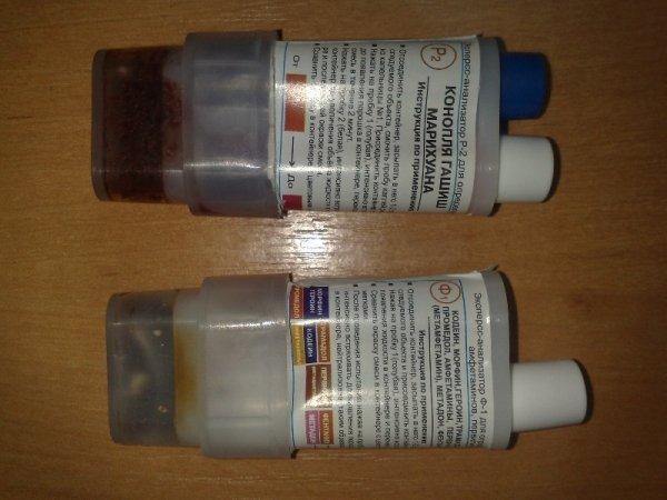 Українське подружжя зловили на контрабанді гашишу. ФОТО