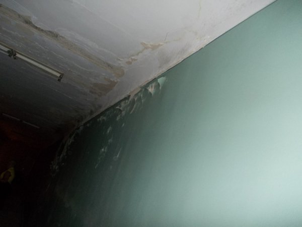 Грибок, корозія і дірявий дах: яким продали кінотеатр «Промінь». ФОТО