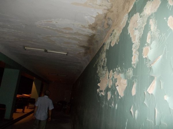 Грибок, корозія і дірявий дах: яким продали кінотеатр «Промінь». ФОТО