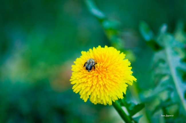 «Змілілий, але затишний», –  лучанка про осінній Світязь. ФОТО
