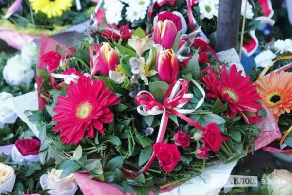 Квіти, які до вподоби лучанам