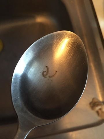 На гастрономічному фестивалі лучанка придбала макарони з черв’яками. ФОТО