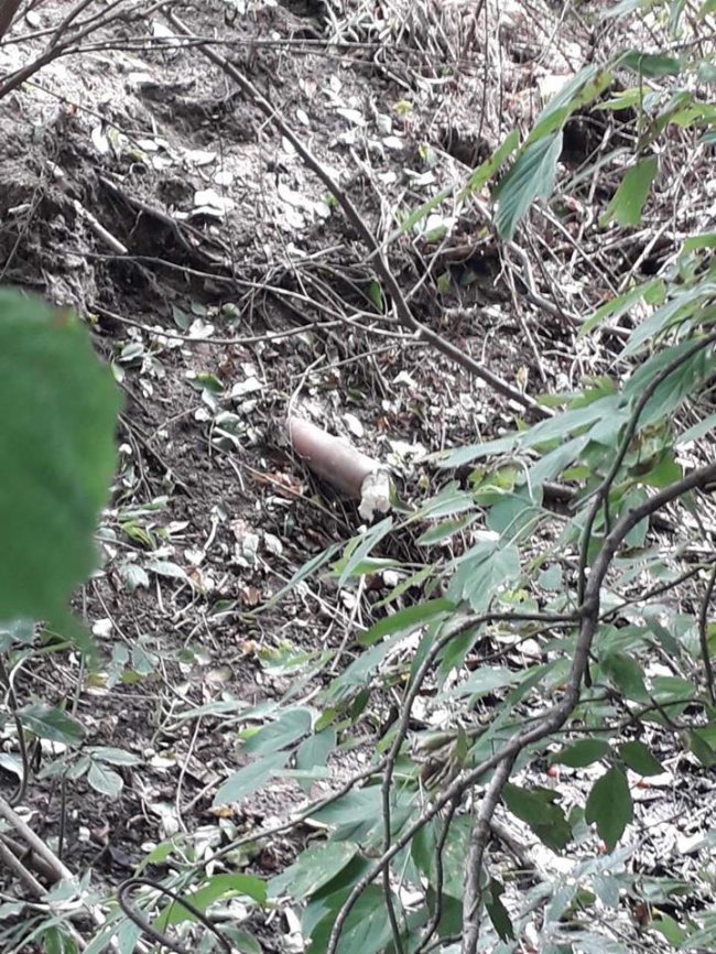 У Володимирі в річку скидають нечистоти. ФОТО