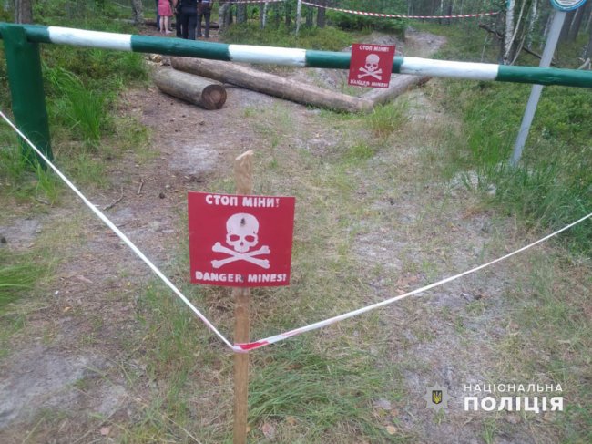 Їхали збирати чорниці: на Житомирщині на міні підірвався автомобіль, водій загинув