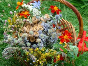 Синоптик розповіла, якою буде погода на Маковія