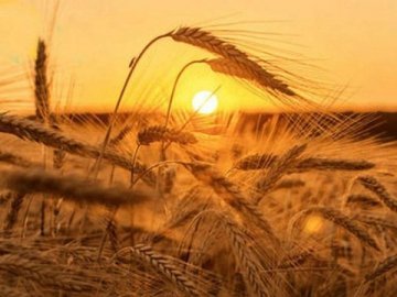 Погода у Луцьку на завтра, 2 серпня