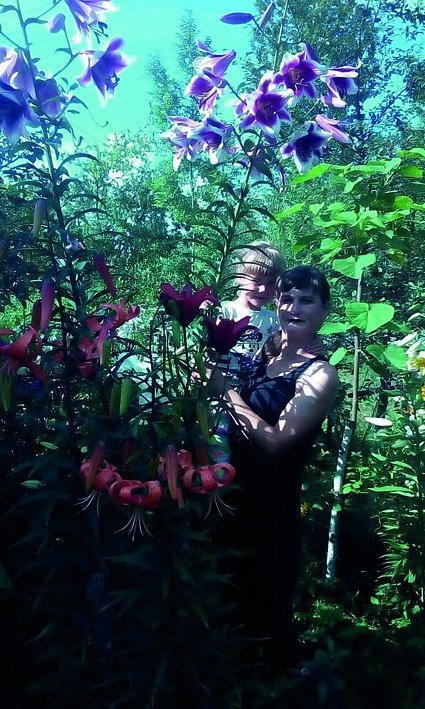 Квітникарка з Волині вирощує на клумбі гігантські лілії