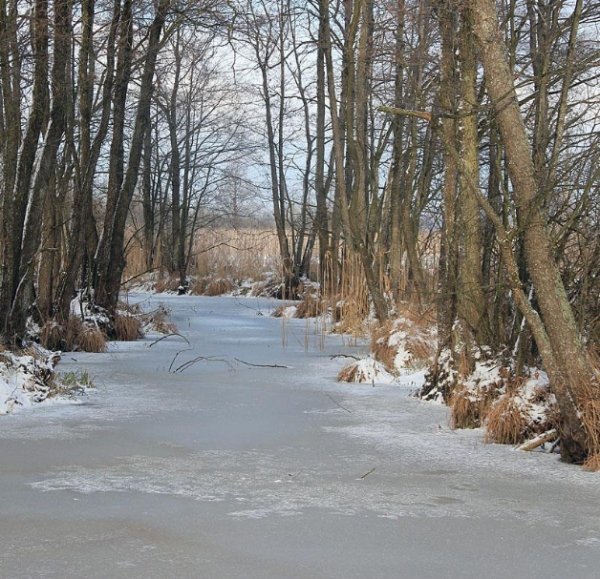 Красиві фото зими у волинському Поліссі 