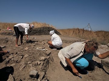 У волинських археологів – золоті знахідки. ВІДЕО