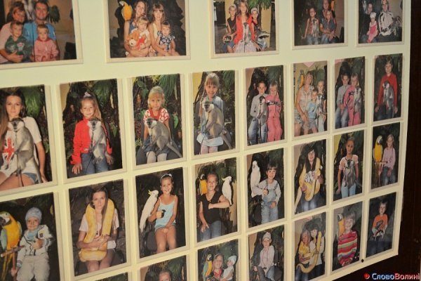 У Луцьку ‒ виставка мавп. ФОТО. ВІДЕО