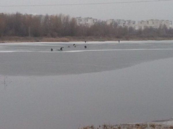 На Волині рибалки продовжують ловити рибу, попри тонкий лід. ФОТО