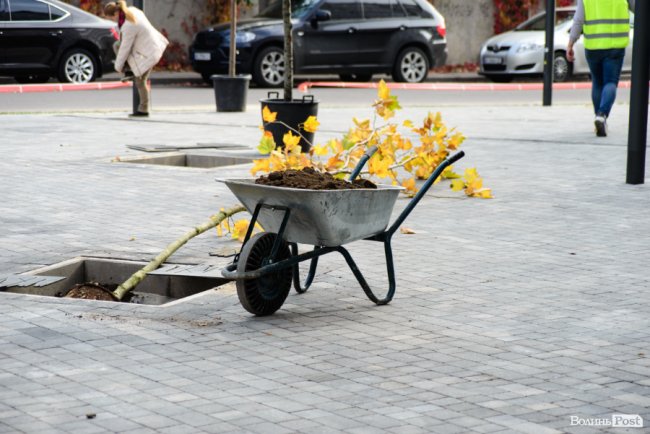 Сучасний оазис посеред міста: у новому сквері в центрі Луцька висадили клени та сливи