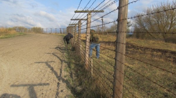 «Толока» на волинському кордоні. ФОТО