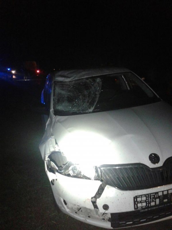 На трасі Устилуг-Луцьк трапилась смертельна ДТП. ФОТО