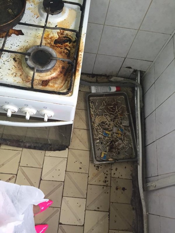 У луцькій їдальні «Ревізор» залишив «Domestos». ФОТО