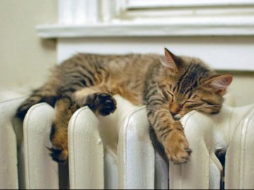 Мешканці луцької багатоповерхівки зможуть економити на теплі