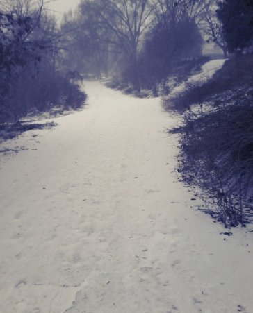 instalutskФото від @sofia.sayfi #instalutsk