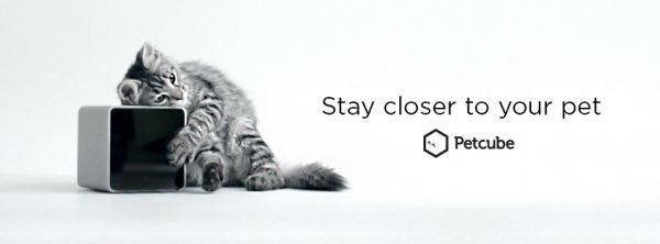 ТОП-5 українських стартапів, які голосно заявили про себе на світовій арені