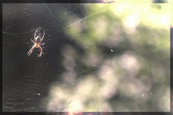 Фотовиставка Дениса Лобентовича