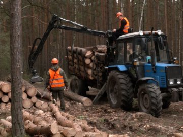 На Волині заготовляють дрова для військових та жителів Миколаївщини. ФОТО. ВІДЕО