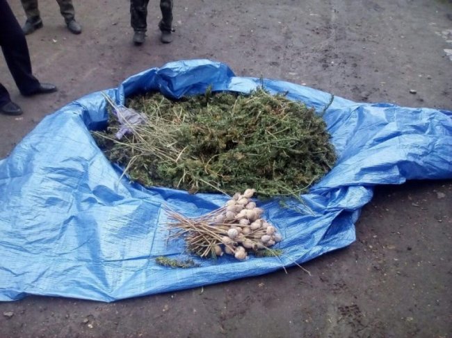 Волинянин на горищі сушив коноплю