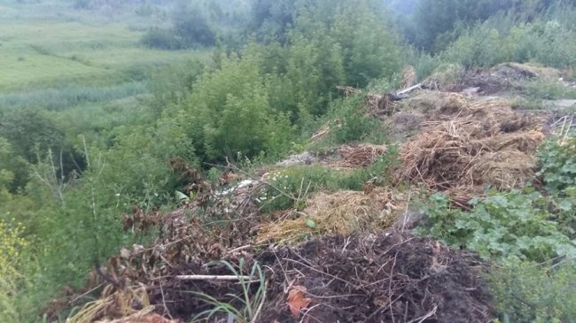 Симфонія зі співу птахів, неохайності та сміття, – активіст про оглядовий майданчик Луцька