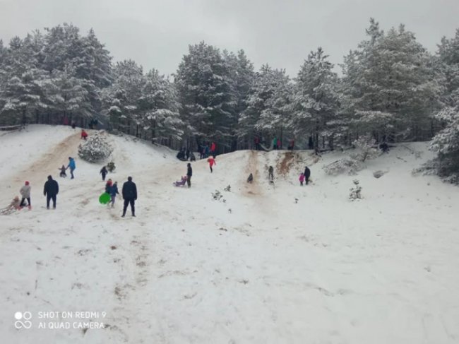 «Семенову гору не віддамо»: урочище на Волині, туристичний магніт краю, продали на аукціоні