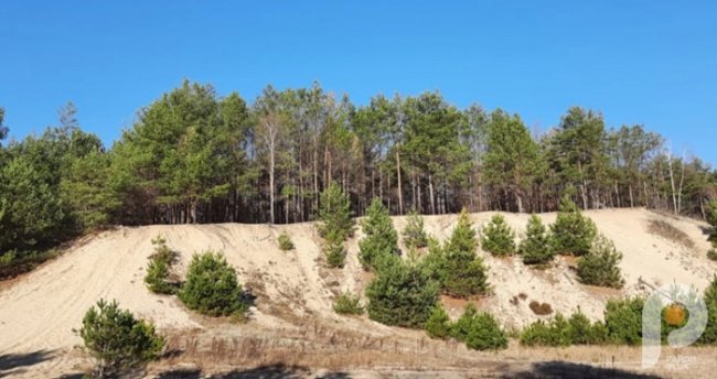 «Семенову гору не віддамо»: урочище на Волині, туристичний магніт краю, продали на аукціоні