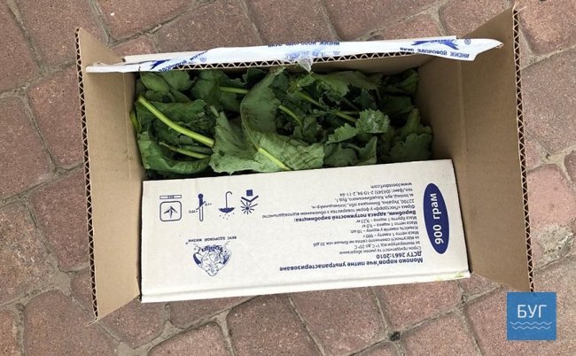 У місті на Волині зловили чоловіка з ящиком маку