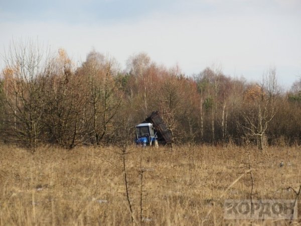 На Волині невідомі викидають відходи деревини