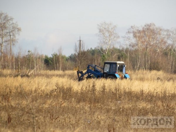 На Волині невідомі викидають відходи деревини