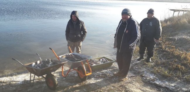 У волинські водойми випустили понад 3 тонни цінної риби. ФОТО