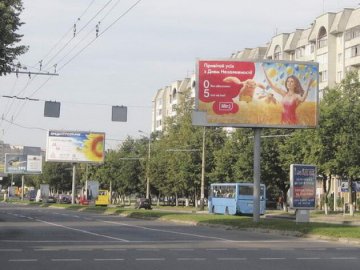 Розповіли, як хочуть очистити Луцьк від реклами