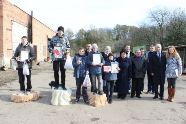 Луцькі діти власними руками змайстрували будки для собак . ФОТО