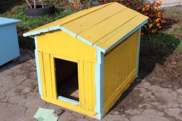 Луцькі діти власними руками змайстрували будки для собак . ФОТО