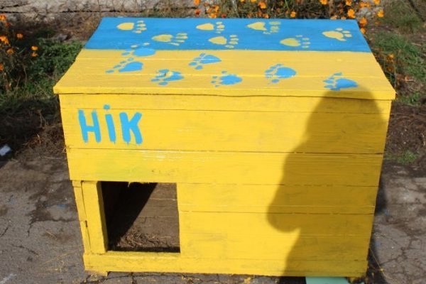 Луцькі діти власними руками змайстрували будки для собак . ФОТО
