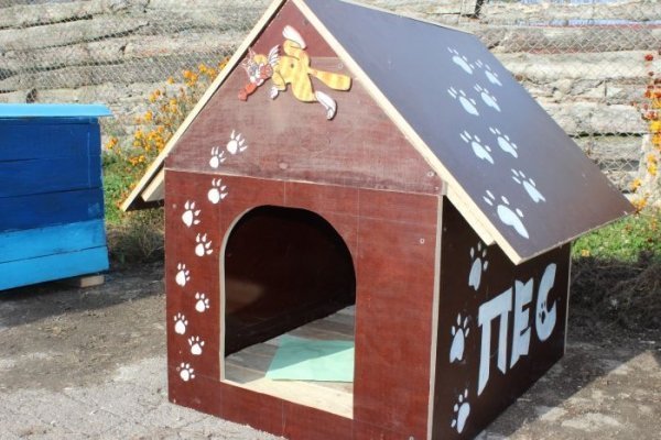 Луцькі діти власними руками змайстрували будки для собак . ФОТО