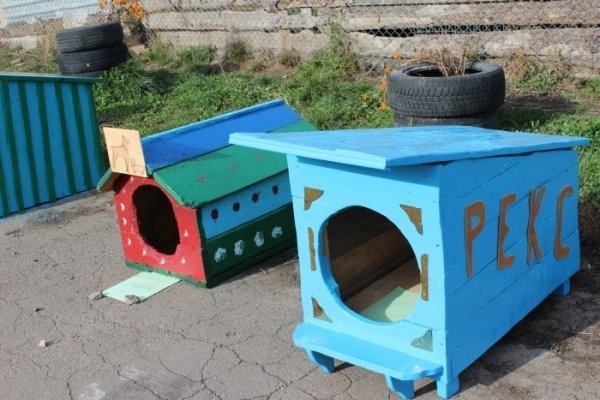 Луцькі діти власними руками змайстрували будки для собак . ФОТО