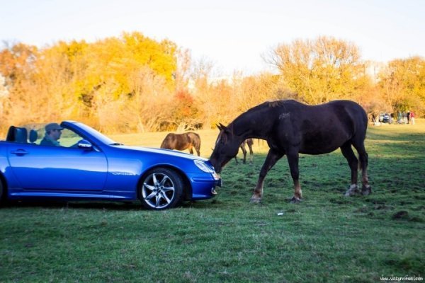 «Mercedes-тусовка» в Луцьку. ФОТО 