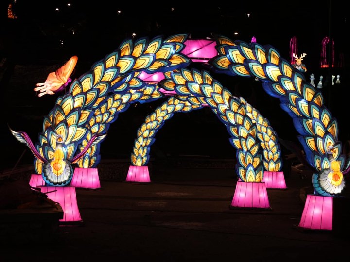 Магія світла: у Луцьку облаштують парк ліхтарів