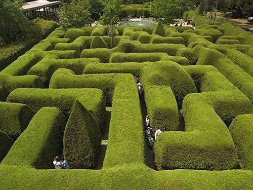 Лабіринт Ashcombe Maze