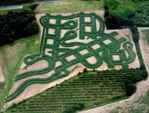 Зміїний лабіринт